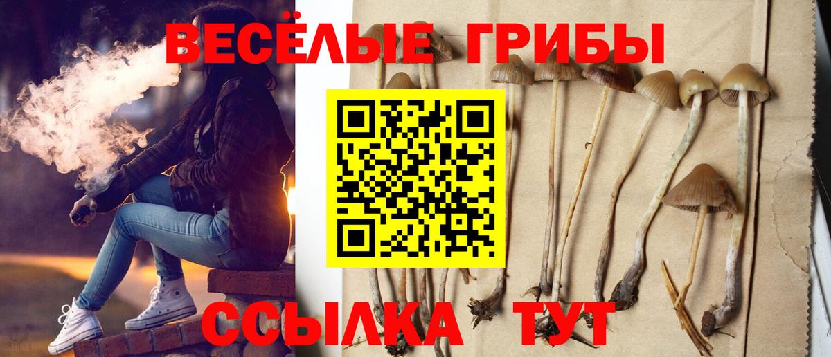 Псилоцибиновые грибы мицелий Иваново