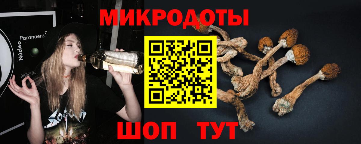 Псилоцибиновые грибы мухоморы  Вход с VPN  Иваново  Галлюциногенные грибы Psilocybe 